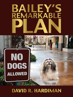 cover image of Bailey's Remarkable Plan